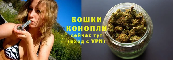 соль ск Арсеньев