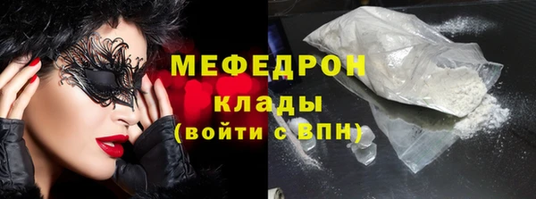 хмурый Аркадак