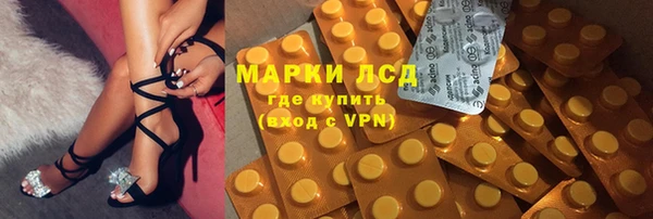 хмурый Аркадак