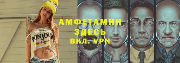 хмурый Аркадак
