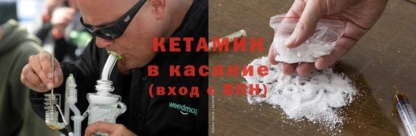 хмурый Аркадак