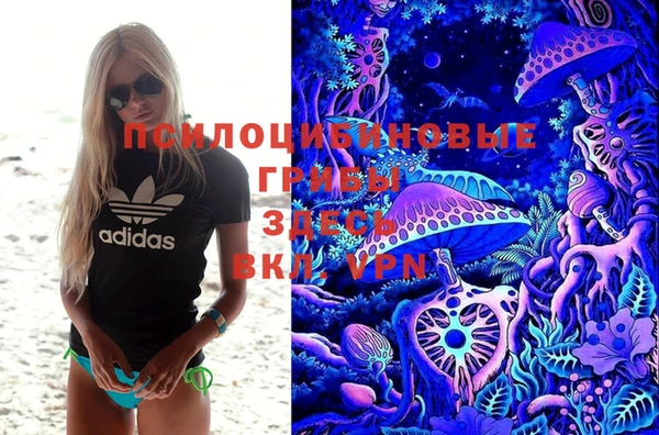 соль ск Арсеньев