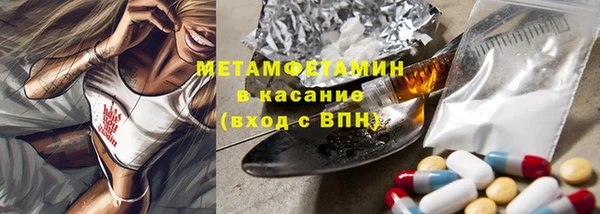 хмурый Аркадак