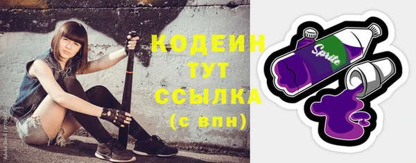 соль ск Арсеньев