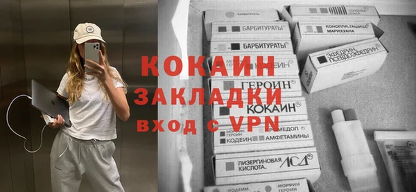 хмурый Аркадак