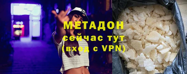 хмурый Аркадак