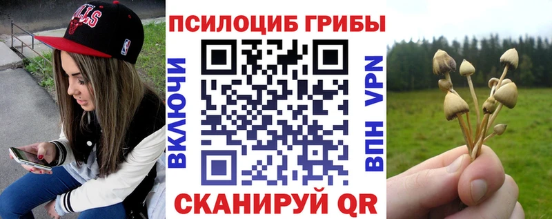 Галлюциногенные грибы MAGIC MUSHROOMS  ссылка на мегу маркетплейс  Зубцов 