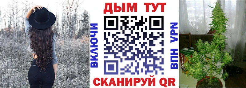 MEGA ССЫЛКА  купить наркотик  Зубцов  Марихуана индика 